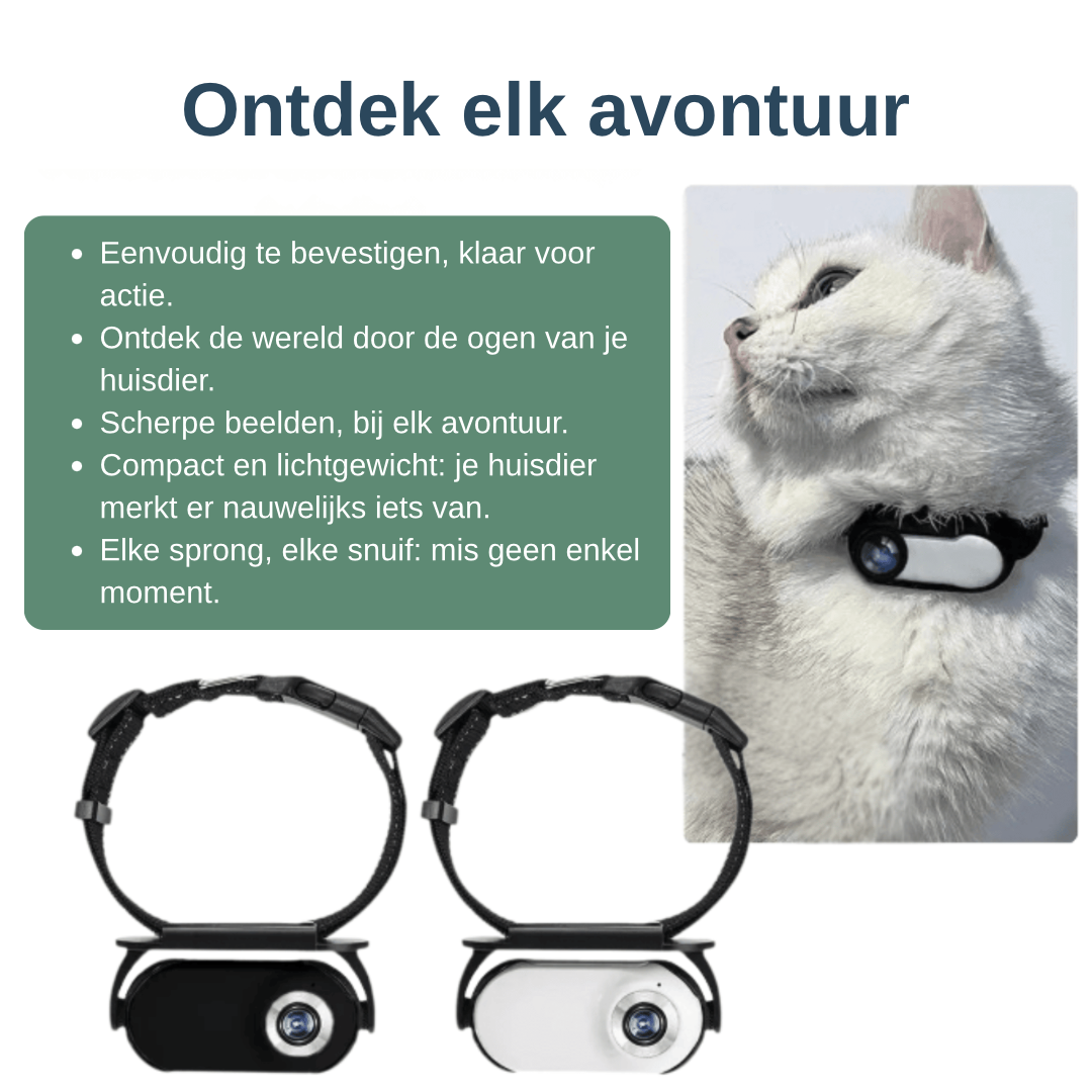 Halsbandcamera voor kat en hond — zie waar je maatje naartoe gaat