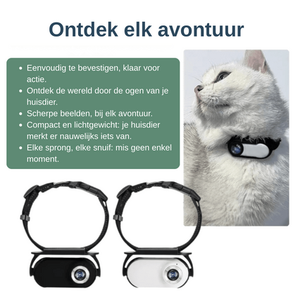 Halsbandcamera voor kat en hond — zie waar je maatje naartoe gaat