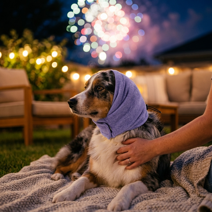 Warme oorbeschermers hond paars — Australian Shepherd op deken buiten bij vuurwerk, baasje troost hem