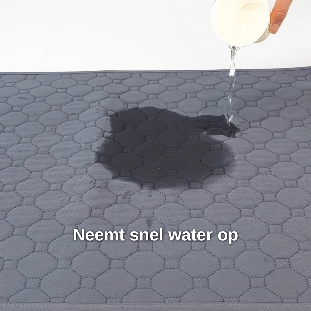 Wasbare plasmat hond — herbruikbare zindelijkheidsmat