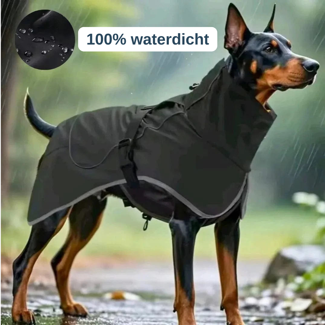 Hondenregenjas waterdicht — droog en zichtbaar bij regen en wind