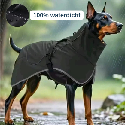 Hondenregenjas waterdicht — droog en zichtbaar bij regen en wind