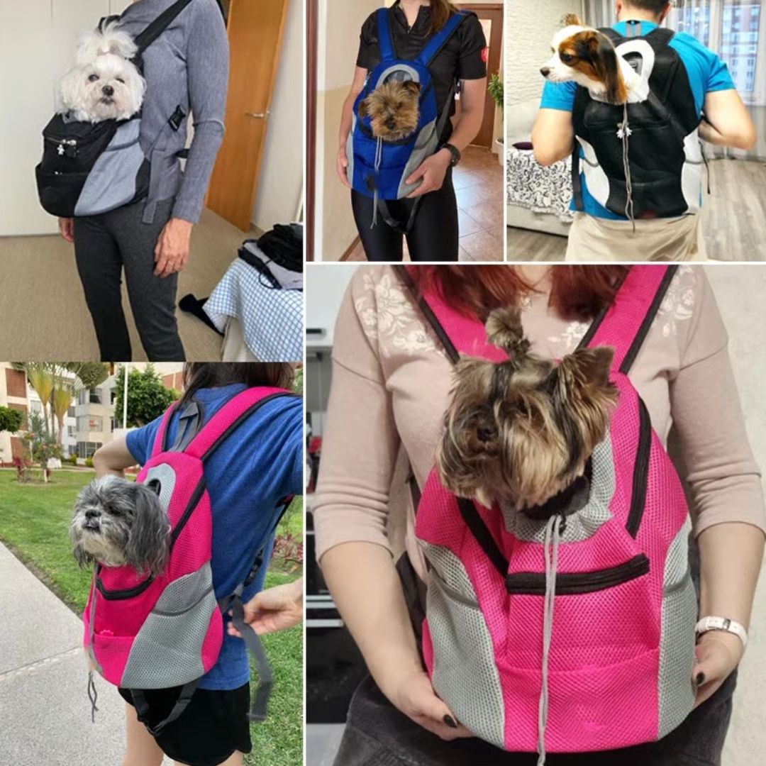 PetBag rugzak hond en kat — neem je maatje overal mee