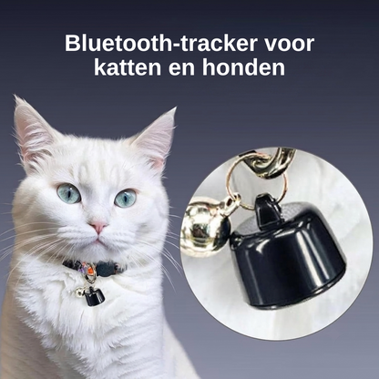 Bluetooth tracker hond en kat — terugvinden zonder abonnement