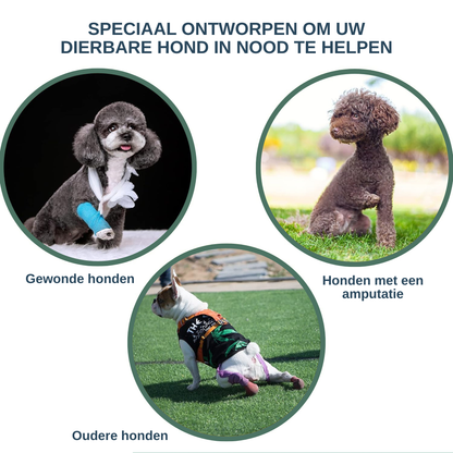 Til-harnas hond — steun bij opstaan, trap en auto