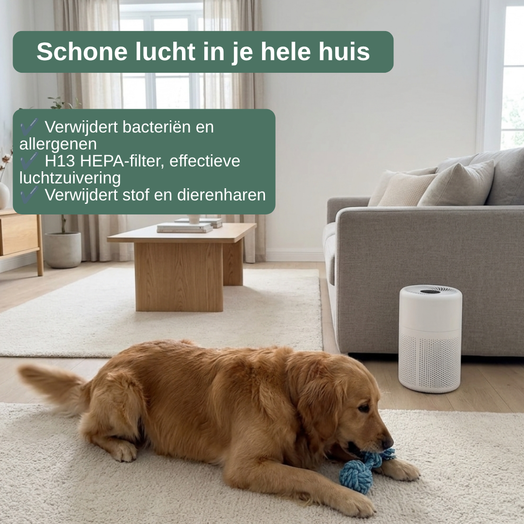 Luchtreiniger huisdieren met HEPA-filter — minder haar en geur