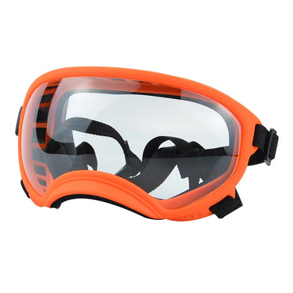 SunShades hondenbril op hond — middelgrote hond draagt zonnebril