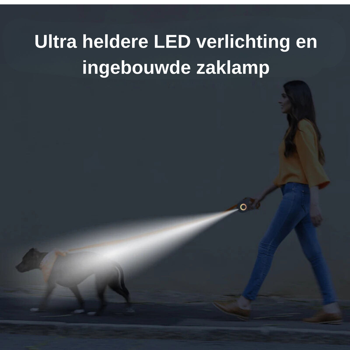 LumiTrail LED hondenlijn 5 meter verlicht de weg tijdens avondwandeling — hond aan lijn met zaklampbundel op donkere straat