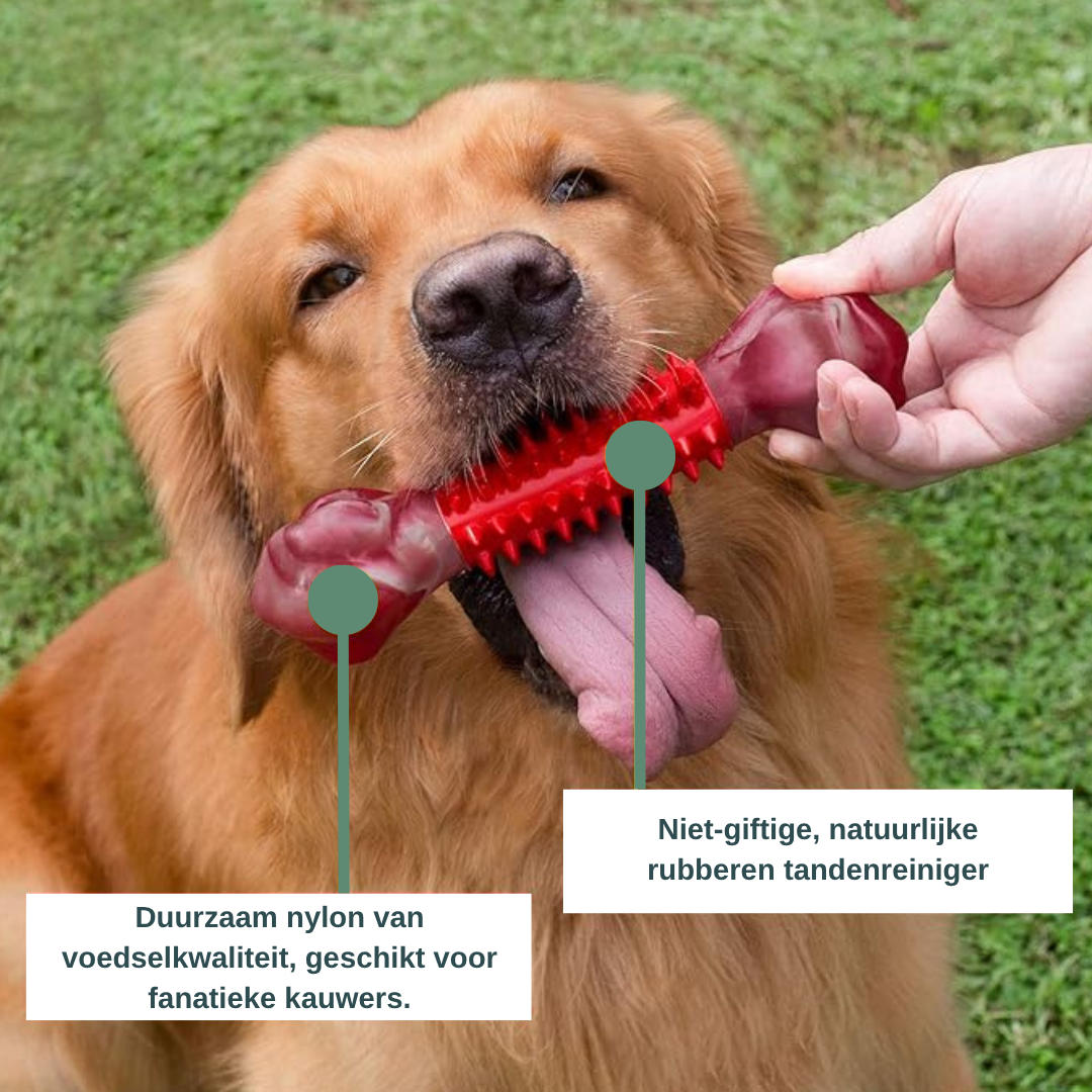 ChewForce kauwbot - Het speeltje voor stevige kauwers.