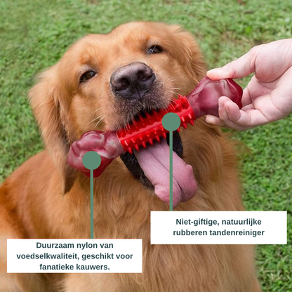 ChewForce kauwbot - Het speeltje voor stevige kauwers.