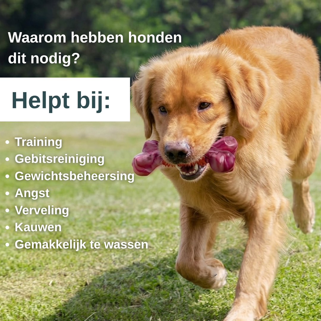 ChewForce kauwbot - Het speeltje voor stevige kauwers.