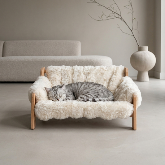 Verhoogd kattenbed hout crème — slapende grijze gestreepte kat opgerold in pluche bed, woonkamer