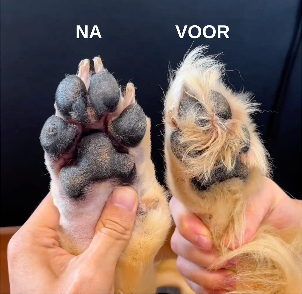 PetTrim trimmer hond en kat voor-na vergelijking — hondenpoot met overgroeid haar naast netjes getrimde poot