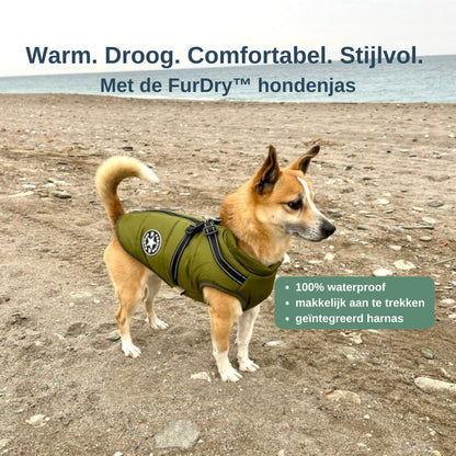 FurDry hondenjas — warm, droog, comfortabel en stijlvol bij elk weertype