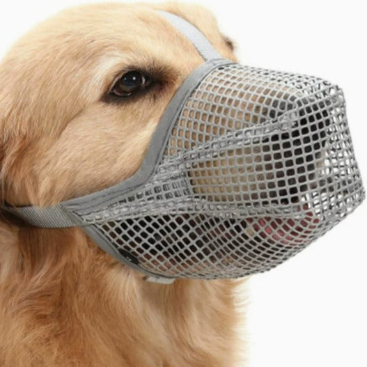 Zachte mesh muilkorf hond in gebruik — hond draagt zwarte muilkorf tijdens wandeling