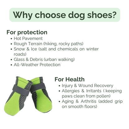 Hondenschoenen waterdicht maattabel — vergelijking maten S, M, L en XL voor hondenras