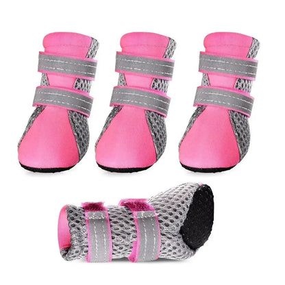 Hondenschoenen waterdicht roze — kleine hond loopt met beschermde poten op straat