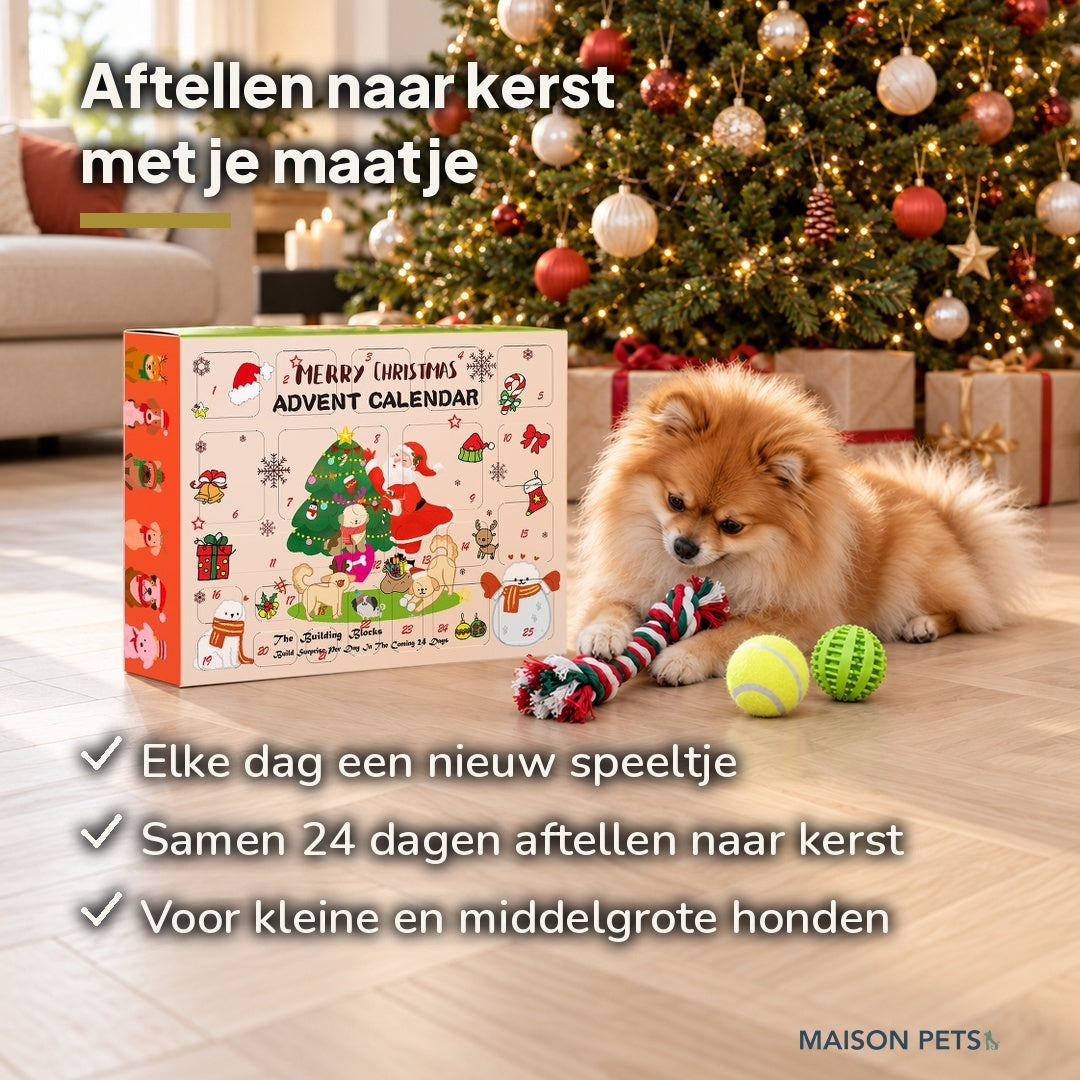 Adventskalender hond naast een Pomeriaan met touwspeelgoed en twee ballen bij de kerstboom
