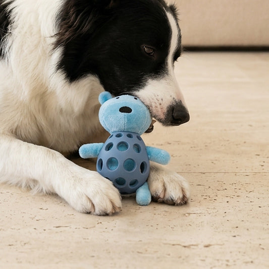 Beer kauwspeelgoed hond in blauw — border collie kauwt op het speeltje liggend op de vloer
