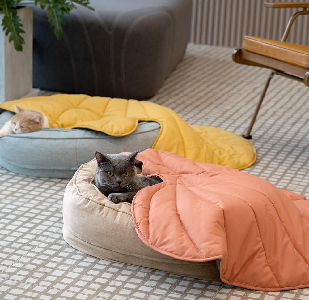 Bladvormige hondendeken — twee katten liggen elk in hun eigen mand met deken