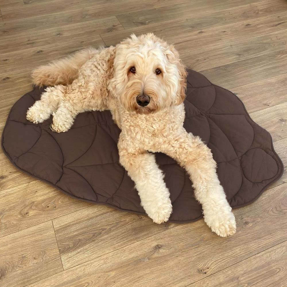 Bladvormige hondendeken bruin — grote hond ligt op de dennenappelvormige deken