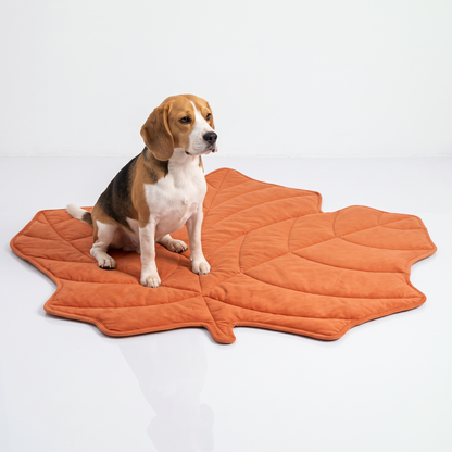 Bladvormige deken hond en kat terra-oranje esdoornblad — beagle zit op de ligmat op de vloer