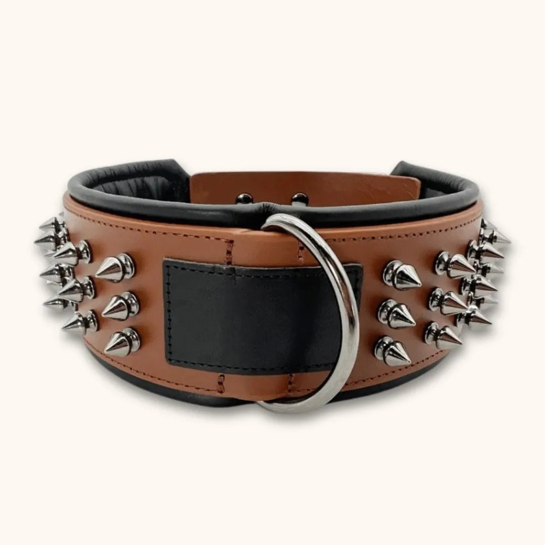 Leren hondenhalsband met klinknagels