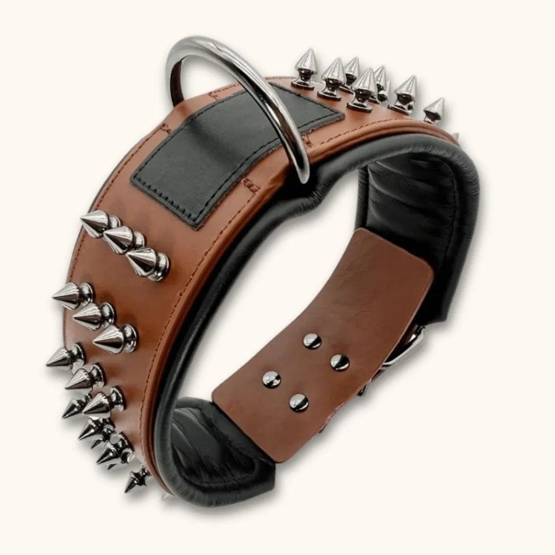 Leren hondenhalsband met klinknagels