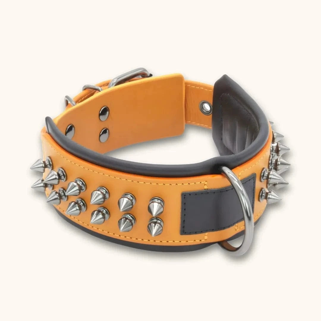 Leren hondenhalsband met klinknagels in het oranje