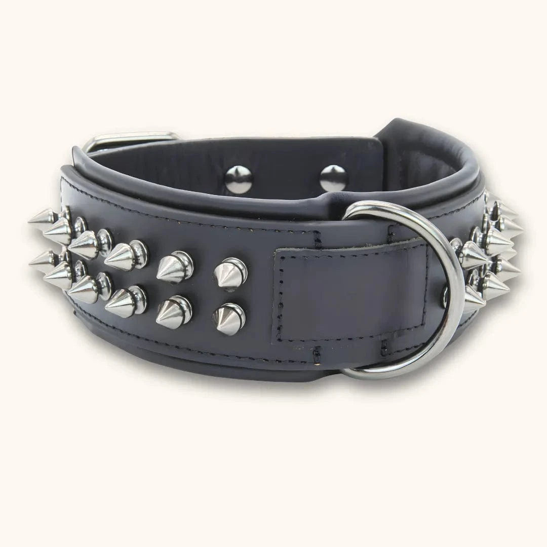 Leren hondenhalsband met klinknagels in het zwart