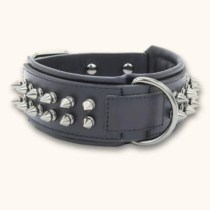 Leren hondenhalsband met klinknagels in het zwart