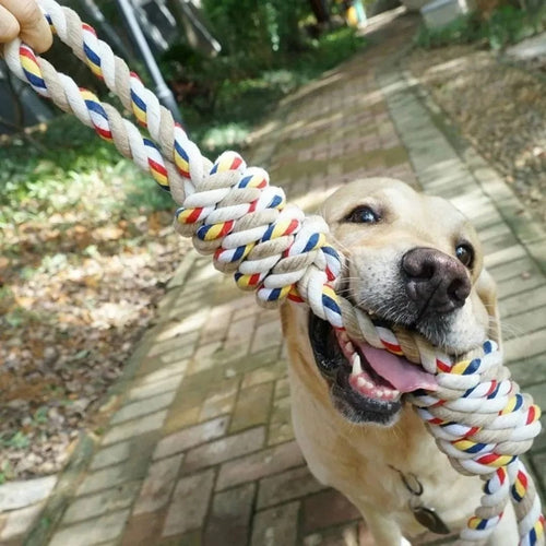 Kauwtouw voor hond