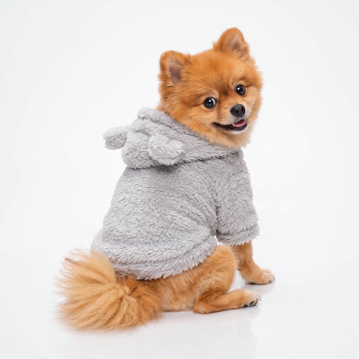 Fleece hondentrui met capuchon in grijs, met teddy-oortjes, gedragen door een pomeriaan die over haar schouder kijkt