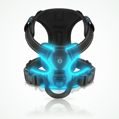 Oplaadbaar lichtgevend hondentuig in blauw met LED-verlichting, bedieningsmodule, D-ring en handvat