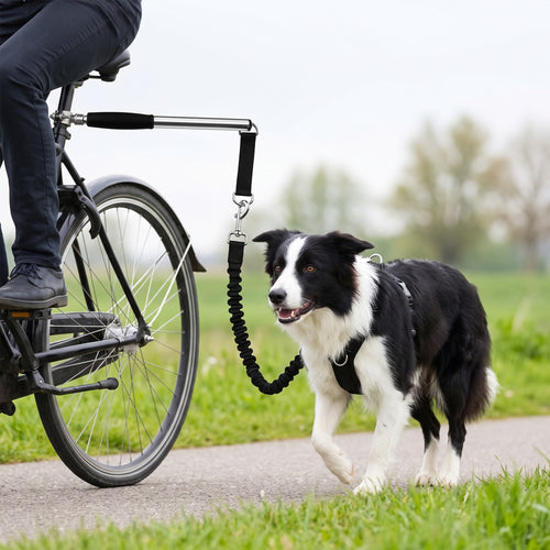 Fietsbeugel hond handsfree — border collie draaft aan de stang naast een fiets op een dijkpad