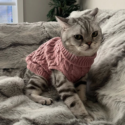 Gebreide hondentrui met col in roze — gestreepte kat zit met de trui aan op een zachte deken