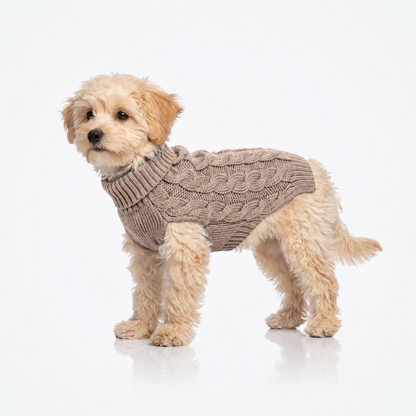 Gebreide hondentrui met col, ook voor kat in beige — kleine witte hond staand op witte achtergrond