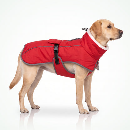 Gevoerde hondenjas met hoge kraag in rood — Labrador op wit, zijaanzicht met zichtbare fleece kraag
