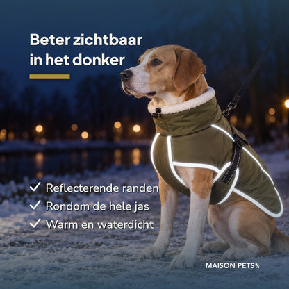 Gevoerde hondenjas met hoge kraag — hond zittend in het donker, reflecterende randen verlichten de jas rondom