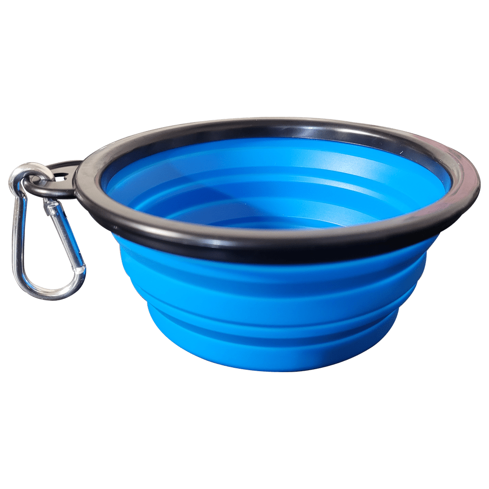 FoldBowl reisbak hond ingeklapt — platte siliconen schijf 1,3 cm met stalen gesp
