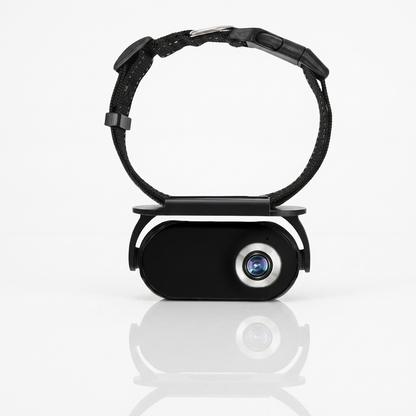 Halsbandcamera voor kat en hond, zwarte variant — mini videocamera op witte ondergrond
