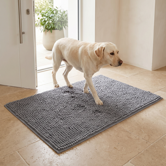 Droogloopmat hond bij de voordeur — hond loopt naar binnen over de chenille mat, pootafdrukken blijven op de mat