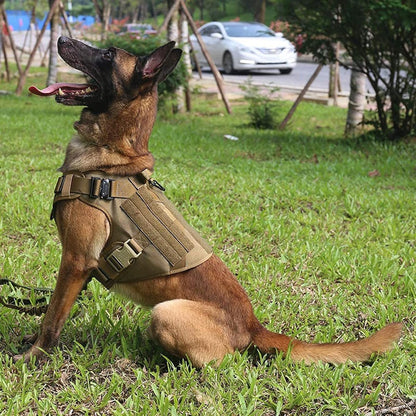 K9 Harnas achteraanzicht met D-ring — longe bevestiging voor trainingstuig hond
