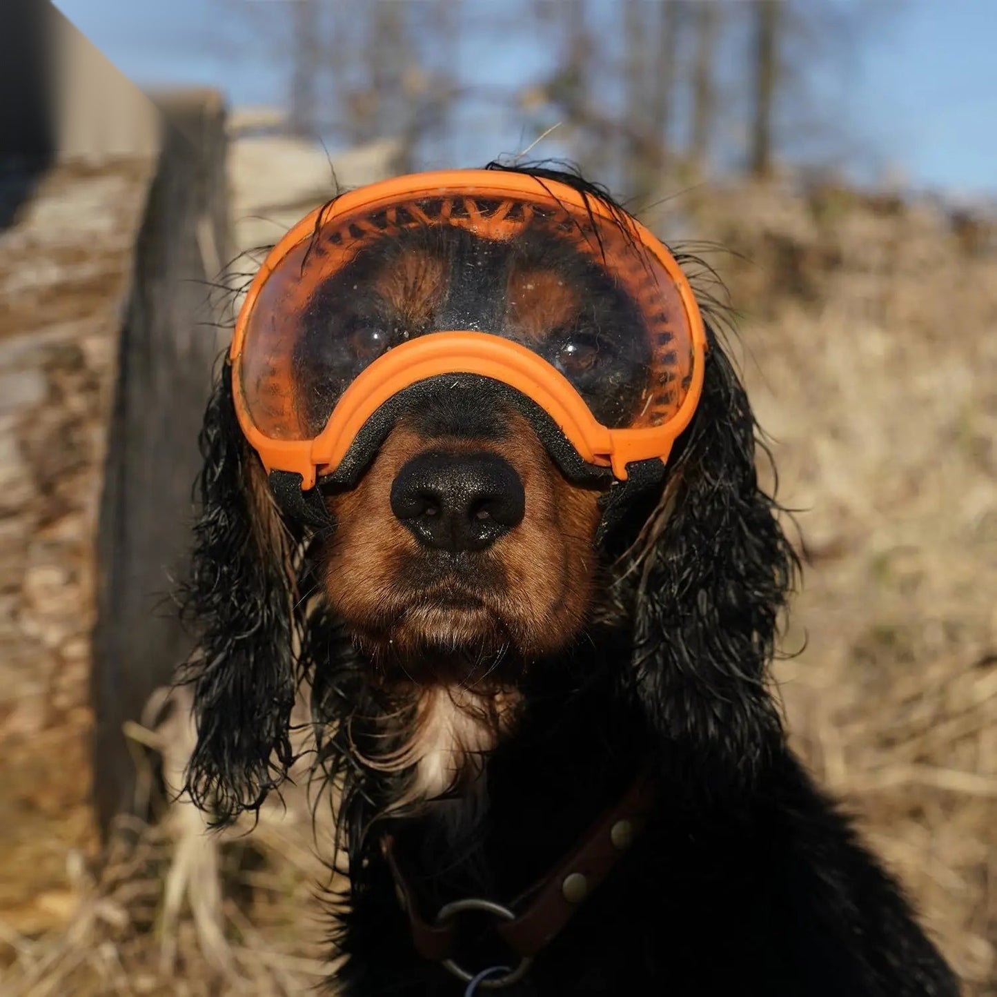 K9 Glasses hondenbril — all-weather sport- en zonnebril