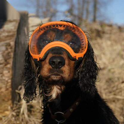 K9 Glasses hondenbril — all-weather sport- en zonnebril