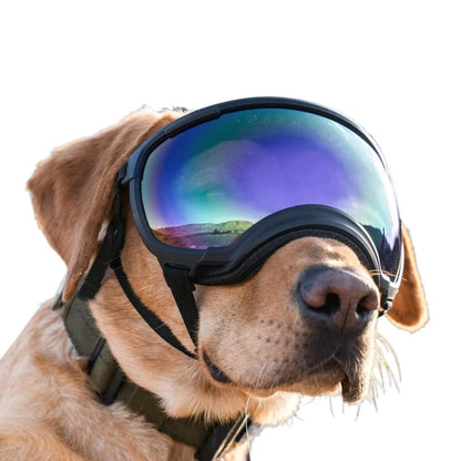 K9 Glasses hondenbril — all-weather sport- en zonnebril