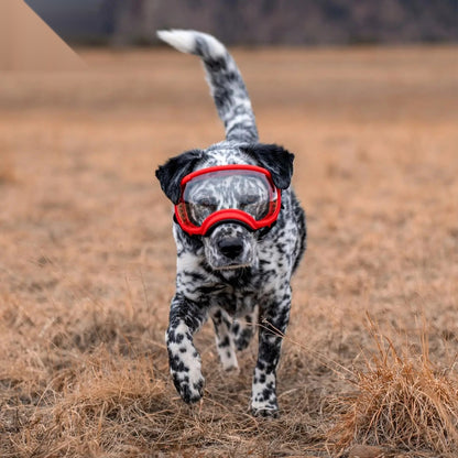 K9 Glasses hondenbril — all-weather sport- en zonnebril