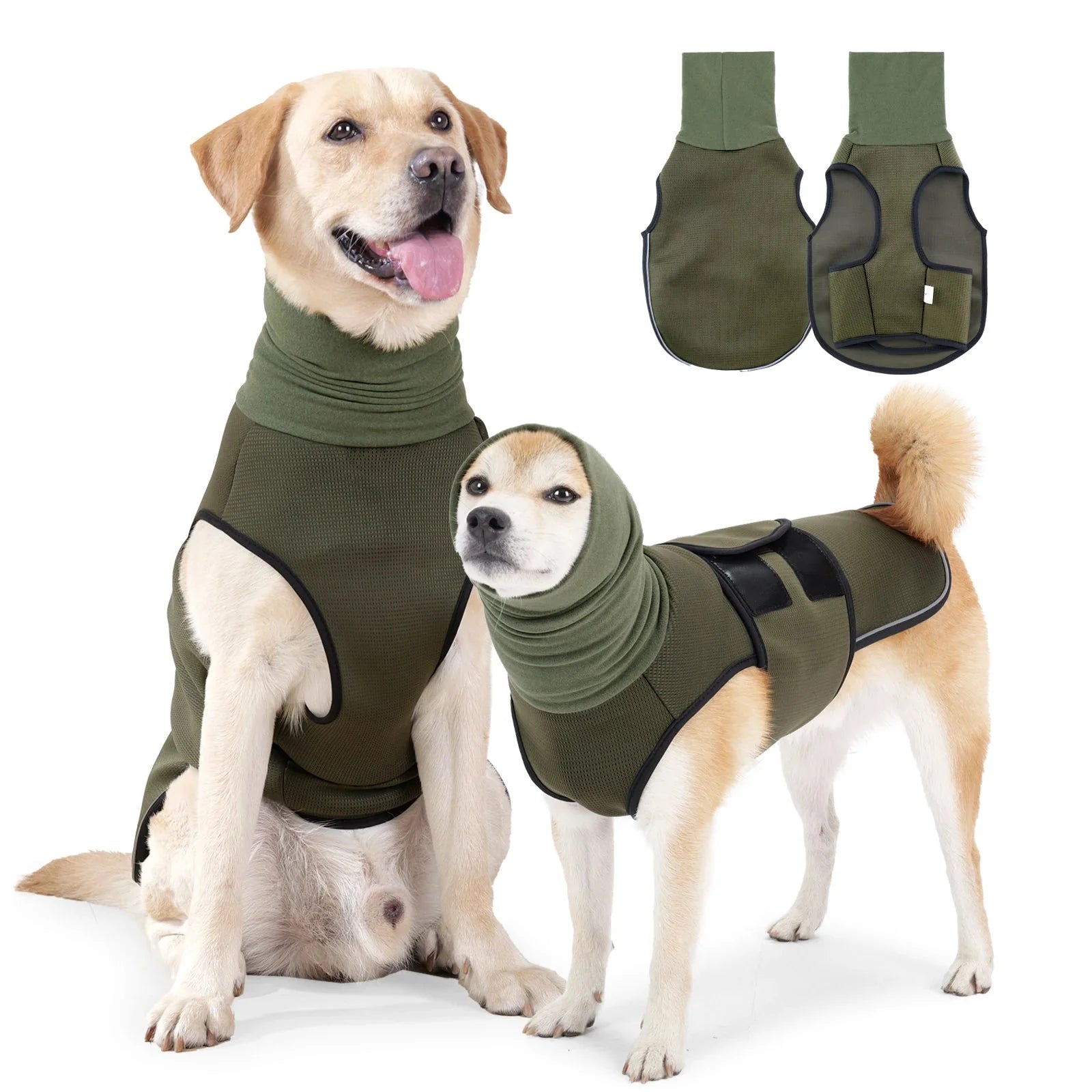 CalmShield kalmerend drukvest hond — lifestyle foto hond draagt groen angstvest