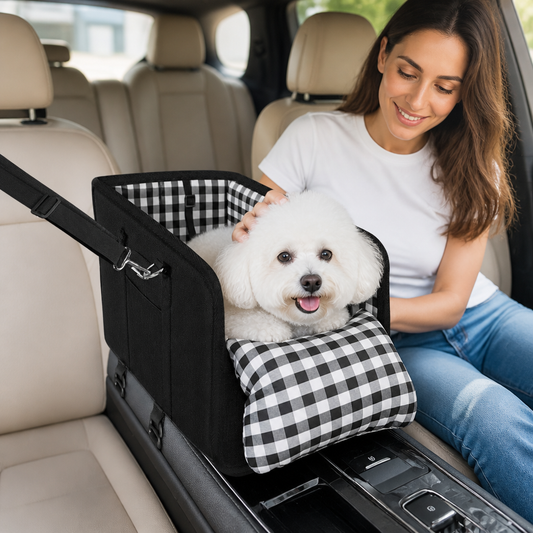 Auto-reistas hond en kat — vrouw met witte hond in zwarte draagtas op achterbank