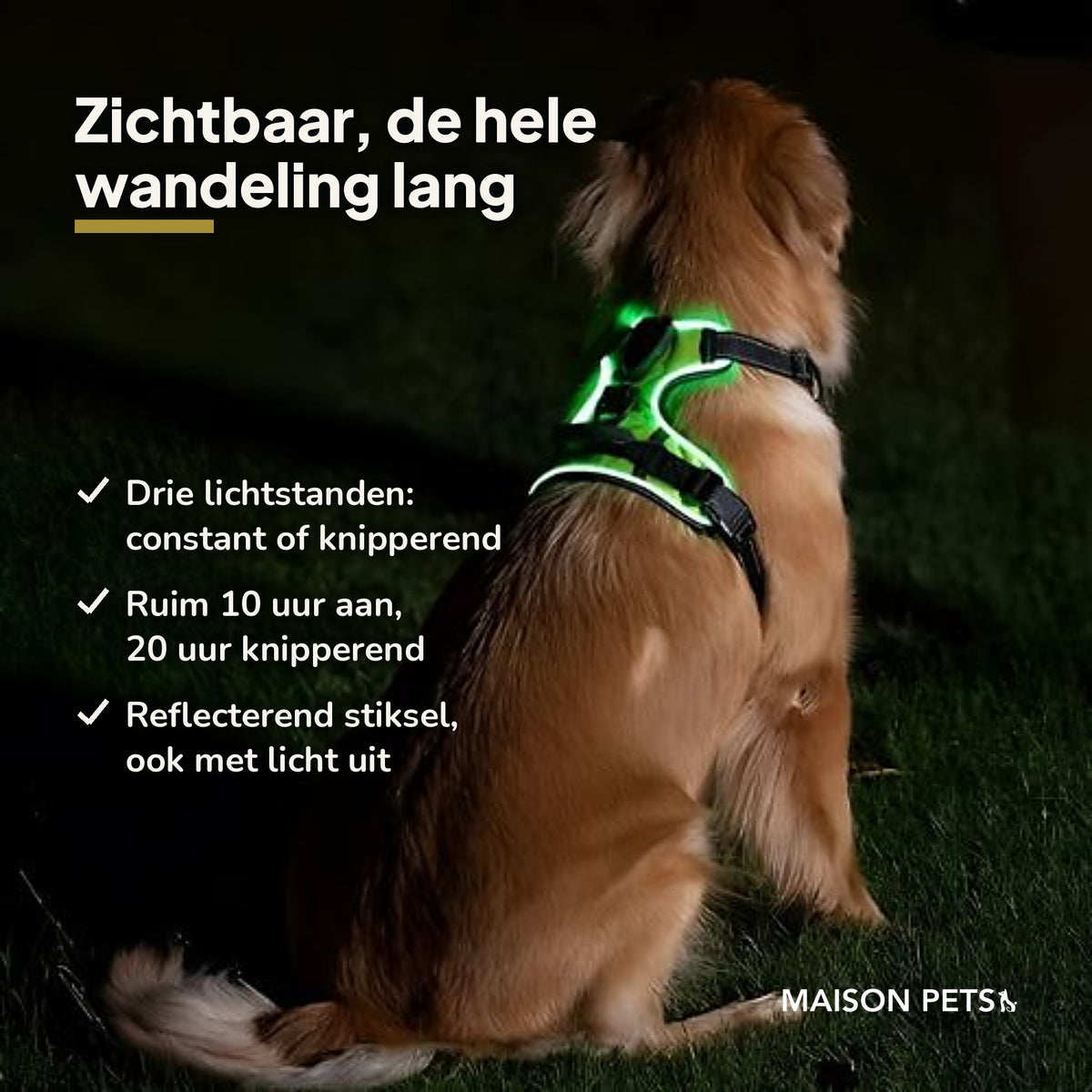 Oplaadbaar lichtgevend hondentuig — USP-infographic met hond in het donker in groen LED-tuig en drie voordelen